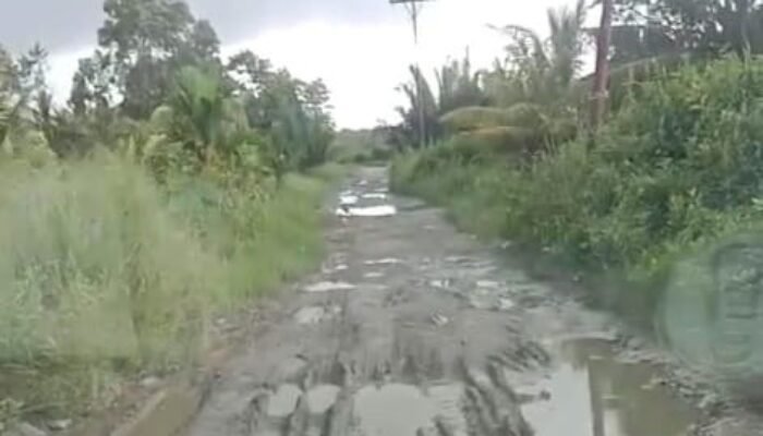 Nestapa Warga Sungai Emas Pemangkat saat Musim Hujan, Jalan Rusak Makin Parah!