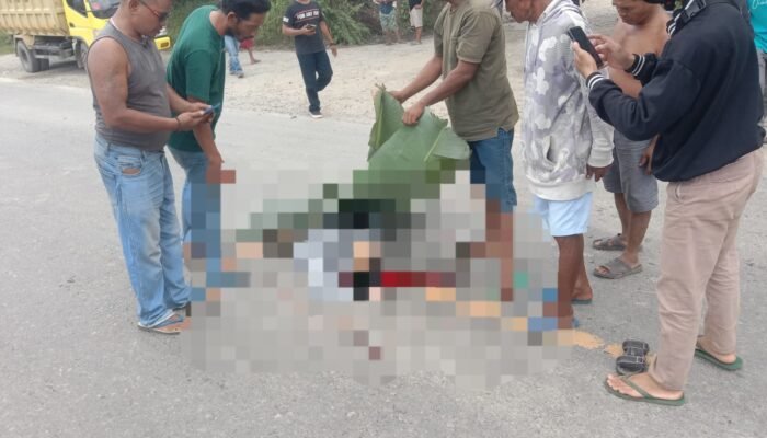 Begini Kronologi Kecelakaan Lendra Ariadi, Korban Tabrak Lari di Jalan Raya Peniraman