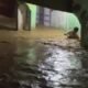 Banjir bandang di Bengkayang. Arus deras menerjang di kawasan Jalan Swadaya, Kecamatan Bengkayang, Kabupaten Bengkayang, Provinsi Kalimantan Barat, Kamis 4 Januari 2024.