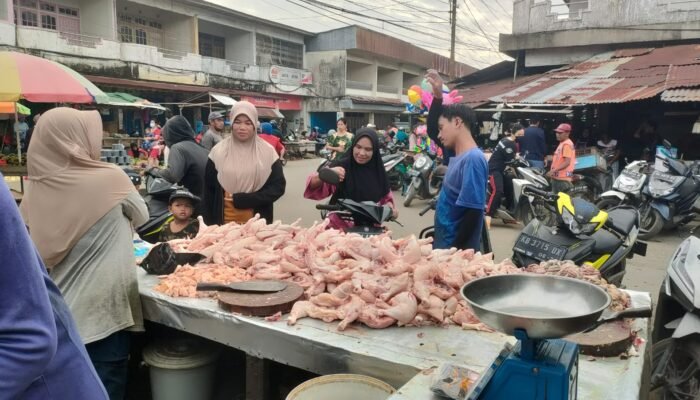 Harga Ayam Potong di Pasar Pagi Sungai Pinyuh Meroket, Ayam Didatangkan dari Kalteng