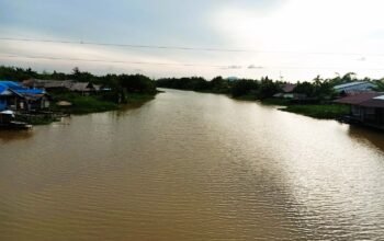 DPPKH Sambas Imbau Masyarakat Jangan Buang Sampah di Sungai Demi Ekosistem Ikan