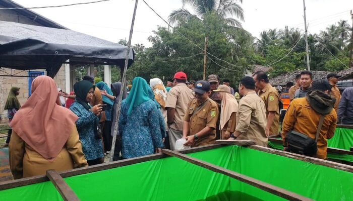 DPPKH dan PKK Sambas Bersinergi Kembangkan Pola Budidaya Ikan di Kolam Terpal