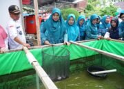 Ketua TP PKK Sambas Berterimakasih, Dinas PPKH Dukung Penuh Program Aku Hatinya PKK