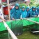 Ketua TP PKK Sambas Berterimakasih, Dinas PPKH Dukung Penuh Program Aku Hatinya PKK