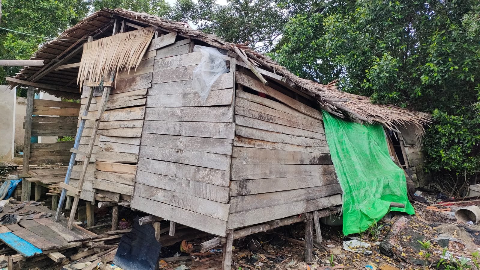 Rumah Kak Yaya di Sepuk Laut Nusapati Memprihatinkan, Kondisinya Nyaris Roboh dan Tidak Layak Huni