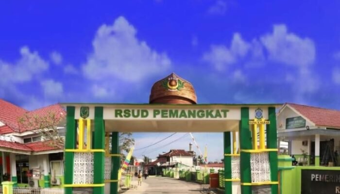 Ibu dan Anak Meninggal di RSUD Pemangkat, Perlukah Dilakukan Audit Maternal?
