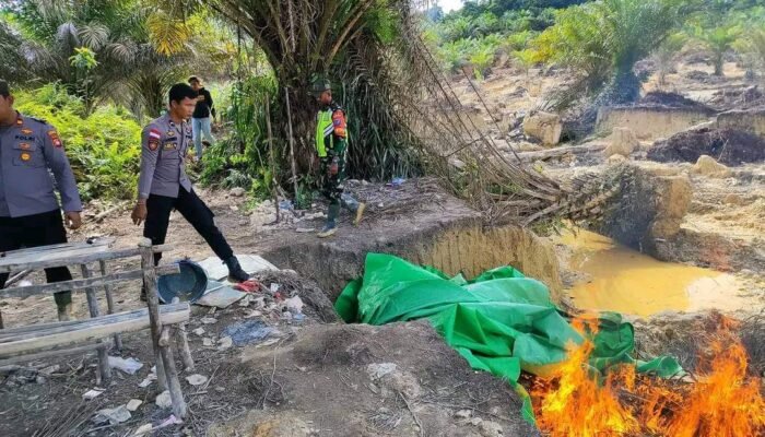 PETI di Areal Kebun PT Darmex Group, Sajingan Besar Akhirnya Ditertibkan Aparat