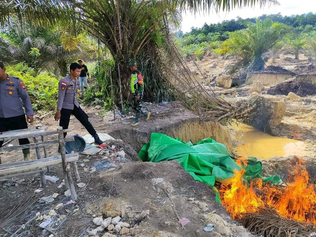 PETI di Areal Kebun PT Darmex Group, Sajingan Besar Akhirnya Ditertibkan Aparat