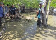 Matan Hilir Utara Heboh, Ada Penemuan Mayat di Hutan Mangrove