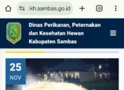 Website Dinas PPKH Sambas Kini Dapat Diakses oleh Masyarakat