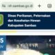 Website Dinas Perikanan Peternakan dan Kesehatan Hewan Kabupaten Sambas