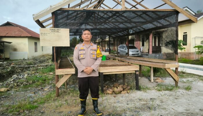 Dukung Ketahanan Pangan, Polsek Tebas Bangun Rumah Bibit untuk Masyarakat