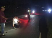 Laka Lantas di Sungai Pinyuh, Seorang Pengendara Motor Tewas