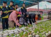 Rutan Sambas dan SMK Negeri Unggulan Sambas Kolaborasi Tanam Sawi Hidroponik