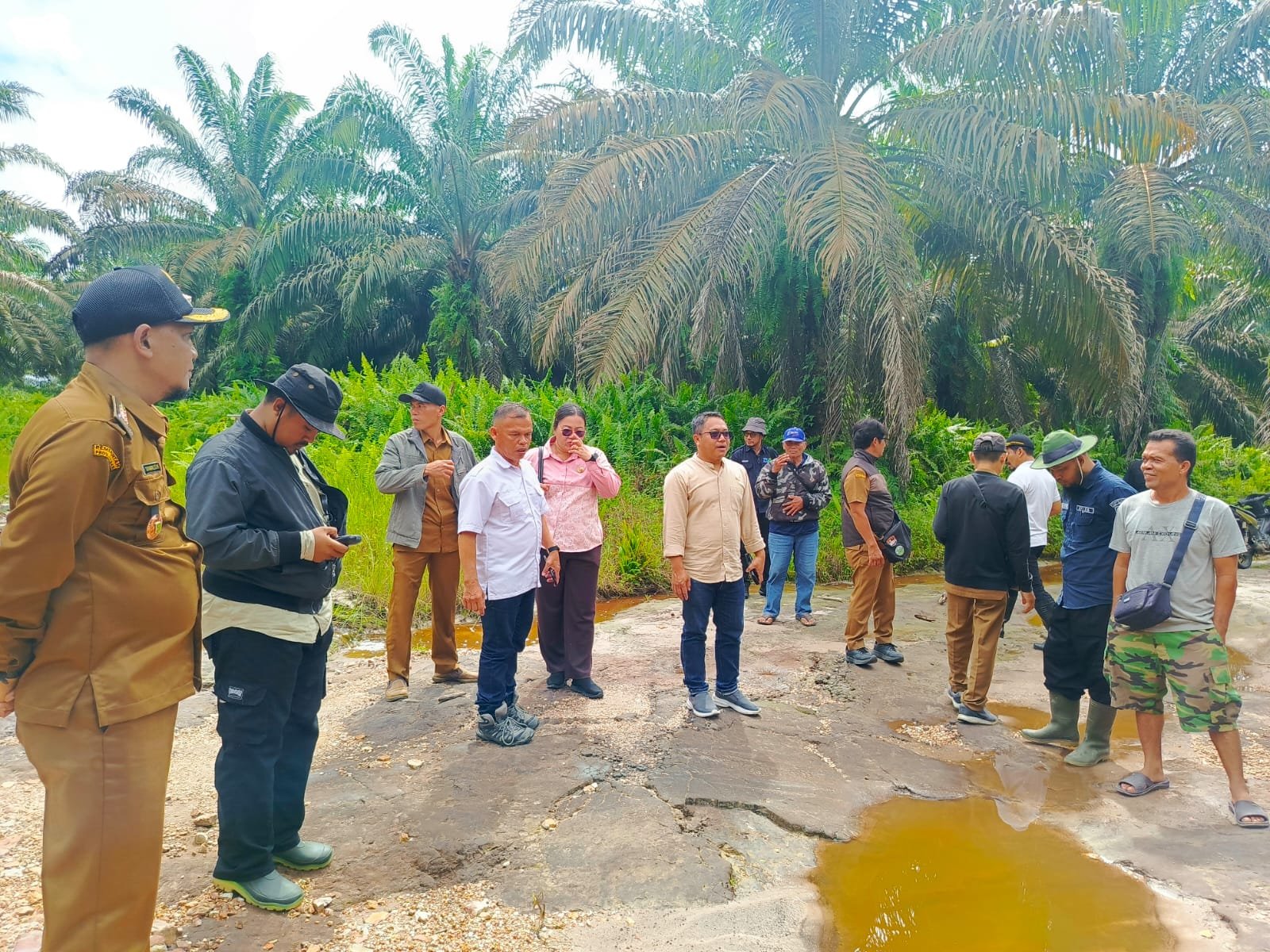 Komisi II DPRD Sambas Tinjau ke Lapangan Masalah Sengketa Poktan Sekapur Sirih.
