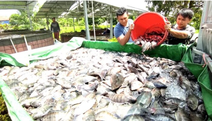 Dinas Perikanan Sambas Siap Dukung Program KKP untuk Peningkatan Produksi Perikanan Budidaya