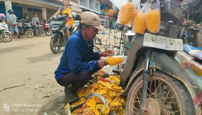 Inilah Kisah Pak Dol, Puluhan Tahun Jual Nanas di Pasar Pagi Sungai Pinyuh