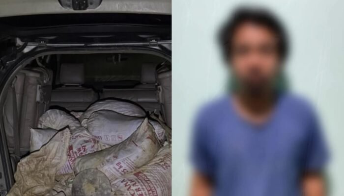 Penambang Emas Ilegal di Areal Kebun Sawit PT WHS 2 Sajingan Tertangkap Lagi