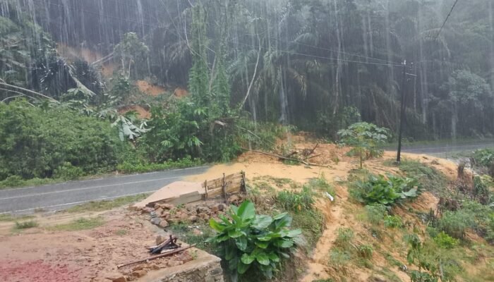 Jalan Nasional Lumpuh Akibat Longsor di Bukit Sehak Desa Paloan, Kabupaten Landak