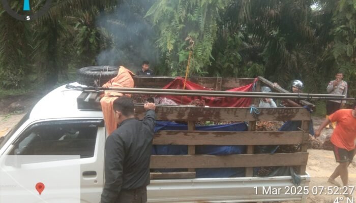 Polisi Amankan Pikap Muatan Buah Sawit Curian di PT WHS II Sajingan Besar