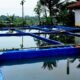 Foto kolam ikan lele/Sumber Internet
