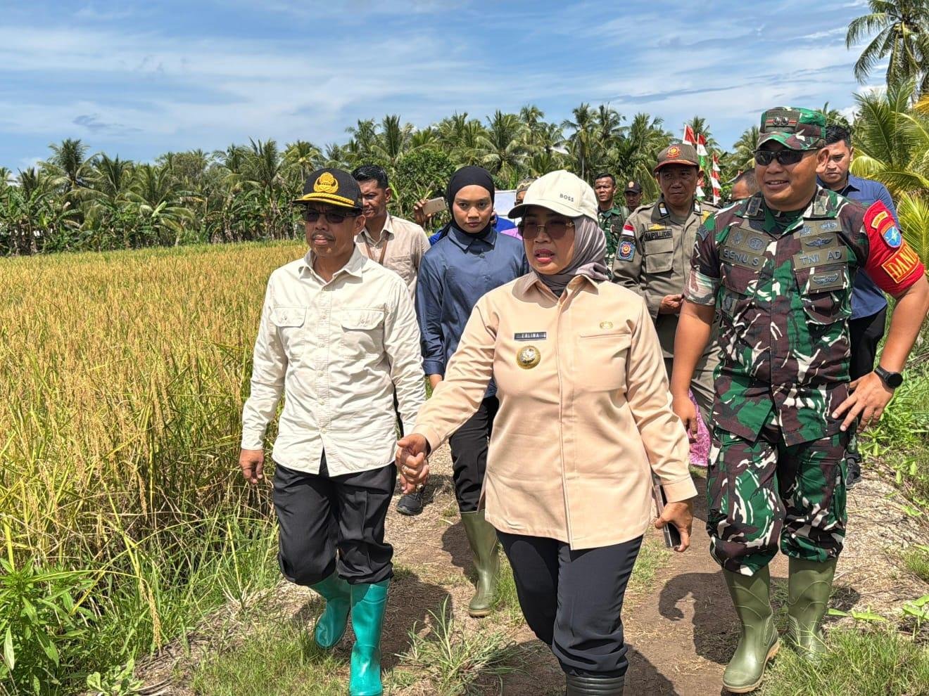Bupati Mempawah, Erlina dan unsur Forkopimda saat panen padi serentak.