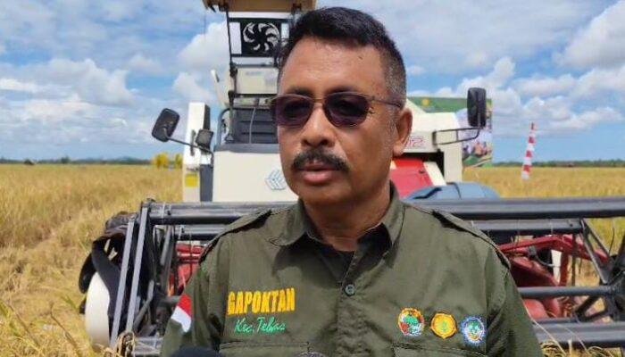 Desa Mansere, Kecamatan Tebas Garap 170 Hektar Lahan Pertanian