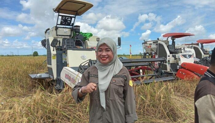 Suliati Sebut Ada 5.071 Hektar Lahan Sawah Siap Panen di Kecamatan Tebas