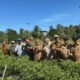 Bupati Mempawah Panen Cabai Bersama Petani Milenial di Segedong