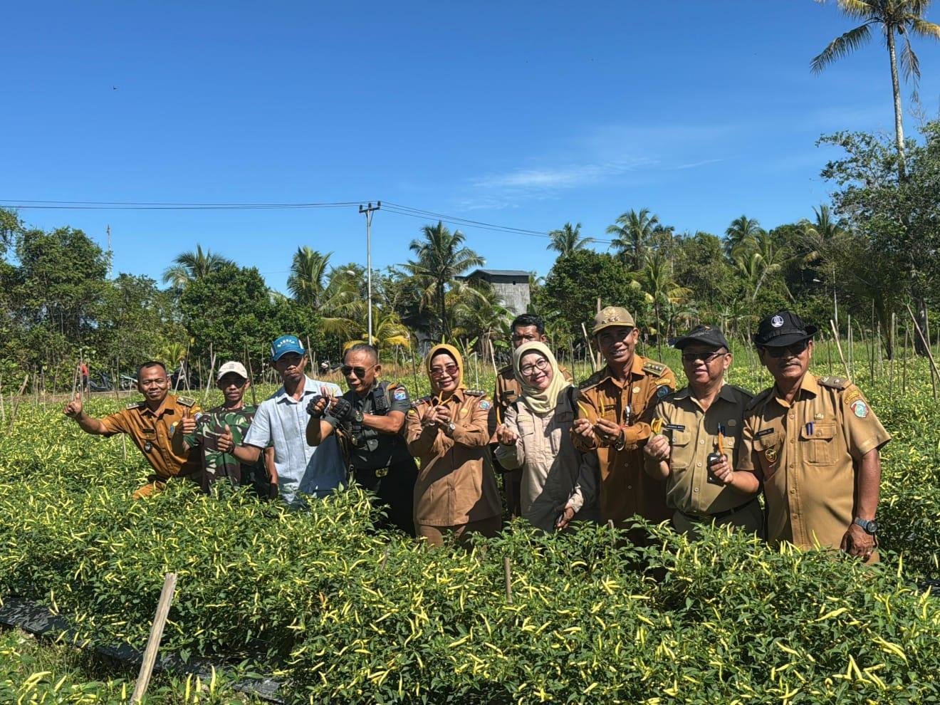 Bupati Mempawah Panen Cabai Bersama Petani Milenial di Segedong