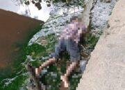 Warga Tebas Sungai Geger, Ada Mayat di Bawah Jembatan Makpanji
