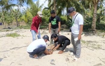 Aliansi Mahasiswa Sambas Tanam Pohon Cemara di Pantai Datok Buntar
