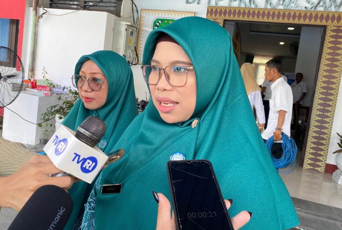 Ketua TP PKK