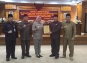 Bupati Erlina