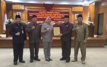 Bupati Erlina
