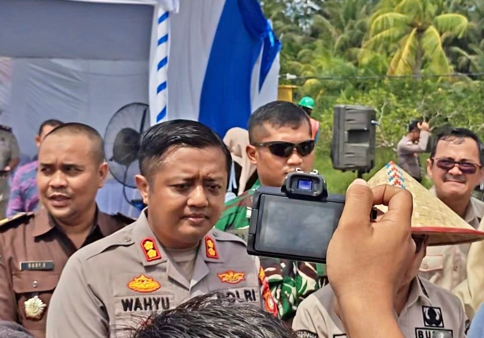 Panen raya jagung