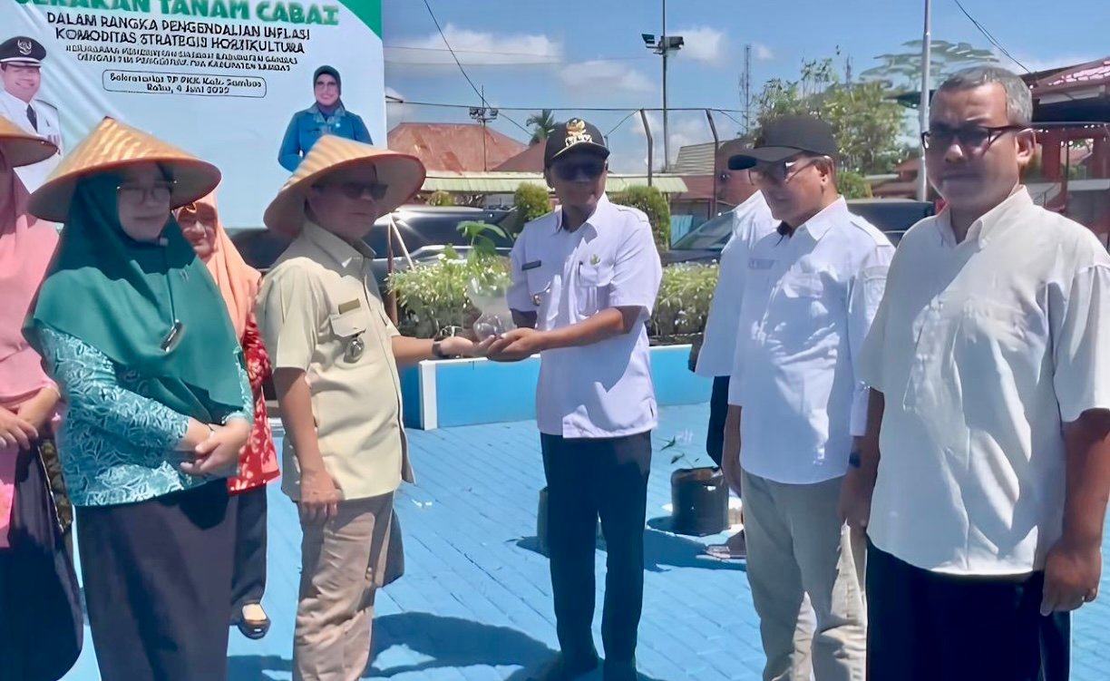 Gerakan Tanam Cabai