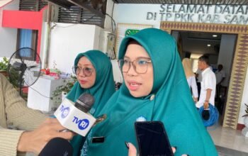 Ketua TP PKK