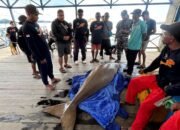 Dugong Mati
