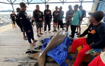 Dugong Mati