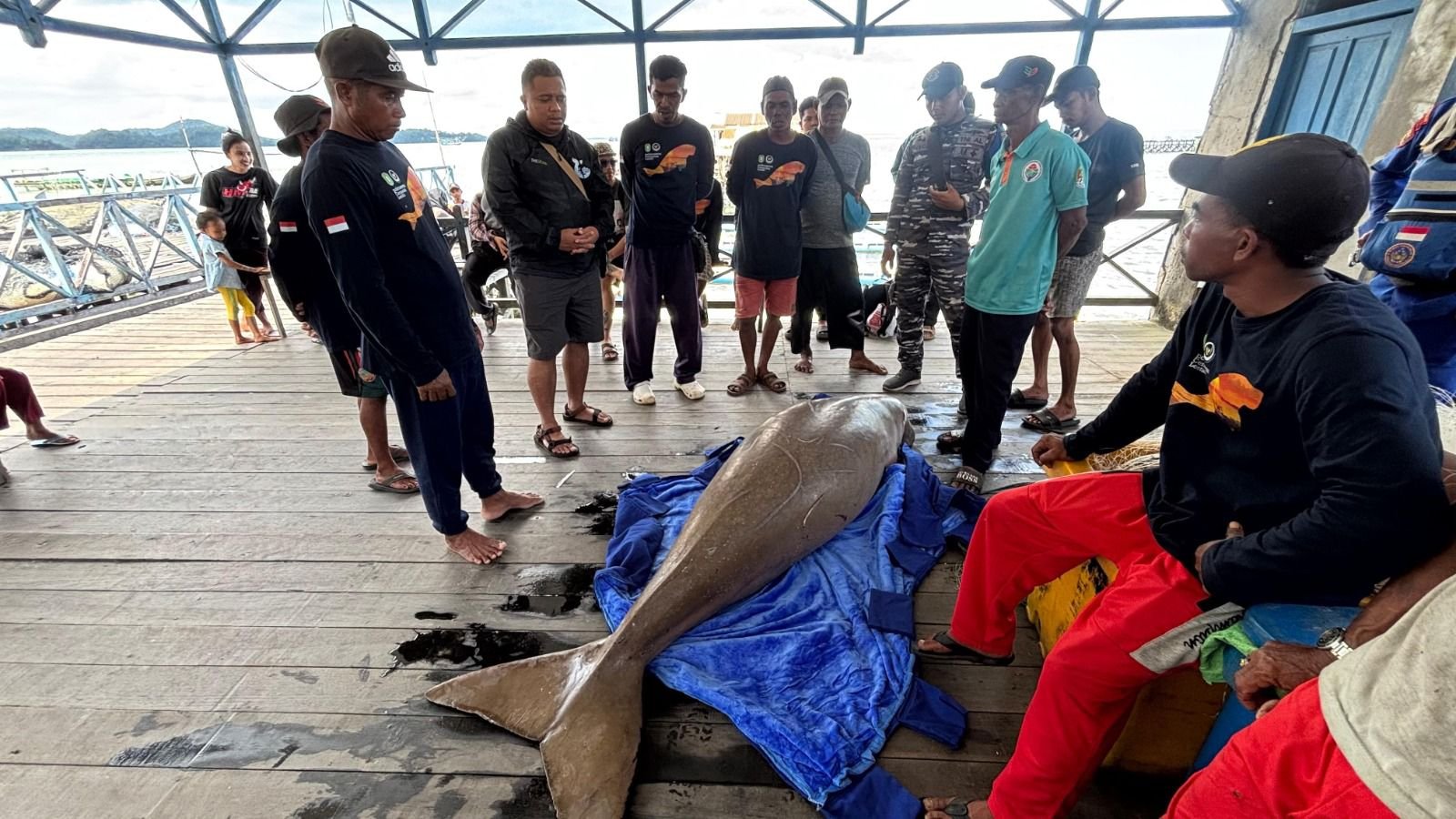 Dugong Mati