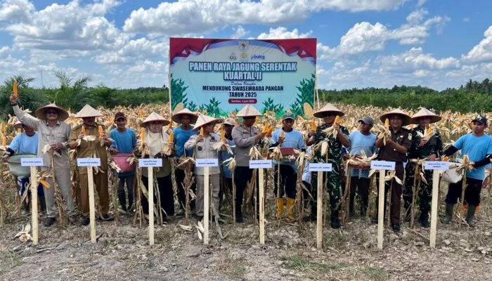 Bupati Sambas Hadiri Kegiatan Panen Raya Jagung Serentak Kuartal II di Desa sepinggan Besar