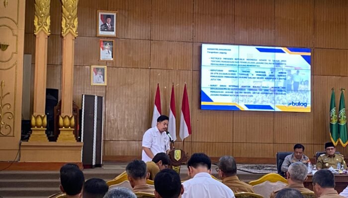 Berhasil Serap Ribuan Ton Gabah dari Sambas, Kini Bulog Singkawang Siap Tampung Jagung dari Petani