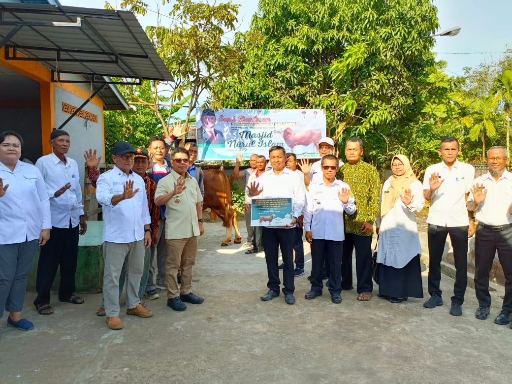 Sapi Kurban Presiden