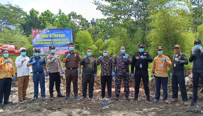 Lanal Ketapang Musnahkan 11,1 Ton Bawang Bombay Ilegal Secara Terbuka di TPA Ketapang