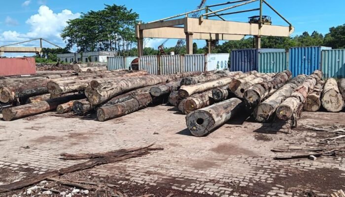 Gakkum KLHK Sita 200 Kubik Kayu Ilegal di Ketapang