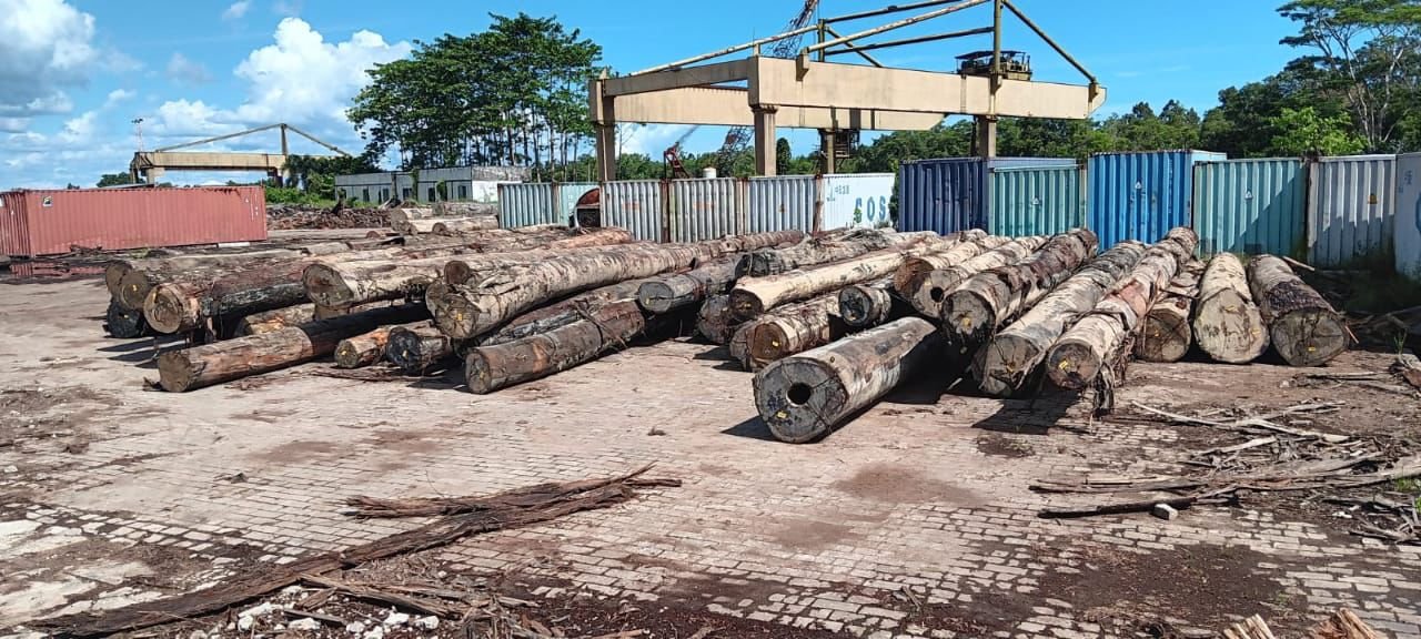 Kayu ilegal yang disita Gakkum LHK.