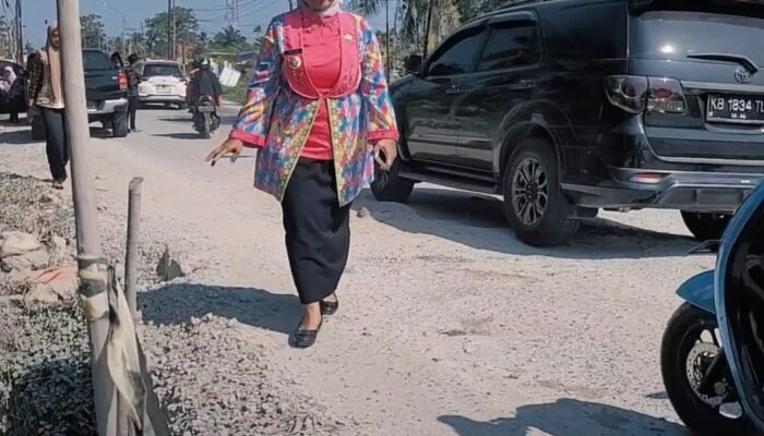 Tinjau Jembatan Rusak Proyek BPJN Kalbar, Erlina: Minggu Depan Mereka Perbaiki