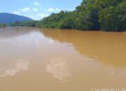 Pencemaran Sungai
