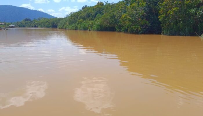 Air Sungai di Semanga Tercemar, Kepala Dinas Kesehatan Sebut Berdampak Pada Kesehatan Kulit Warga